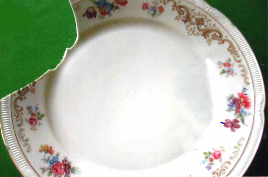 113 Dinner Plate by Scherzer-1