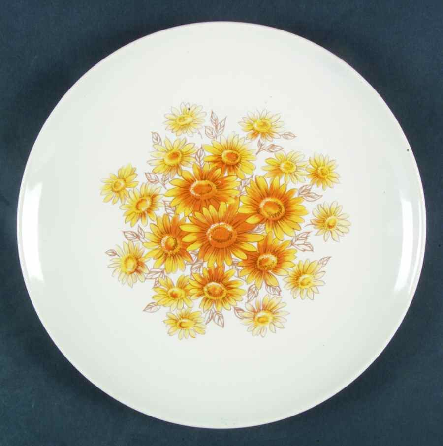 SLM309 Dinner Plate by Salem-1