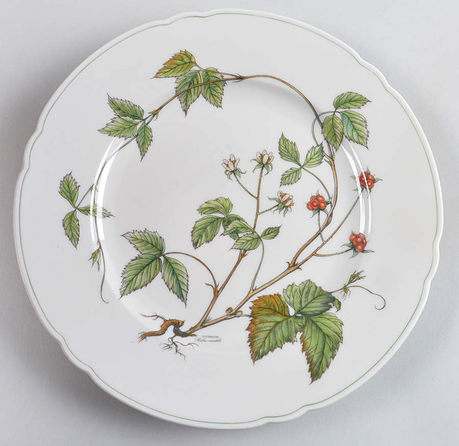 Waldbeere Ivory Large Dinner Plate by Seltmann-1