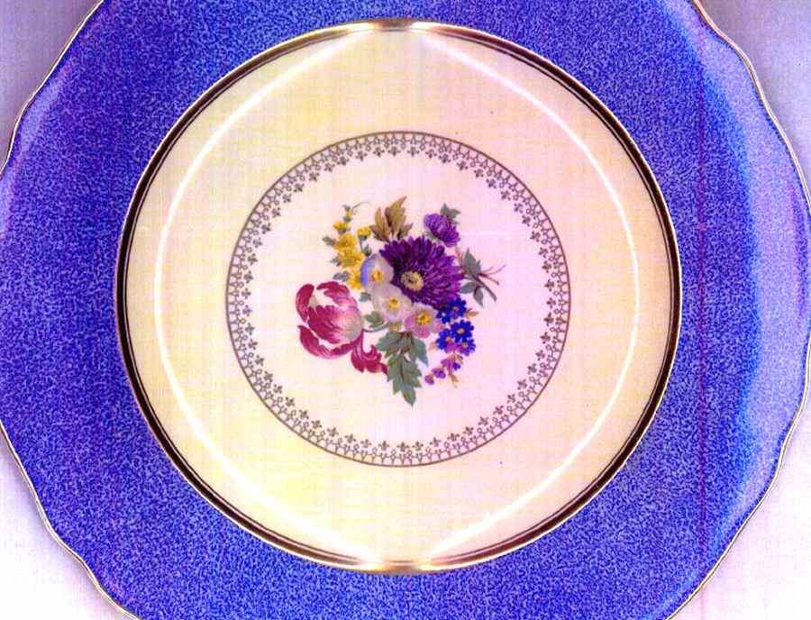 STB320 Dinner Plate by Steubenville-1