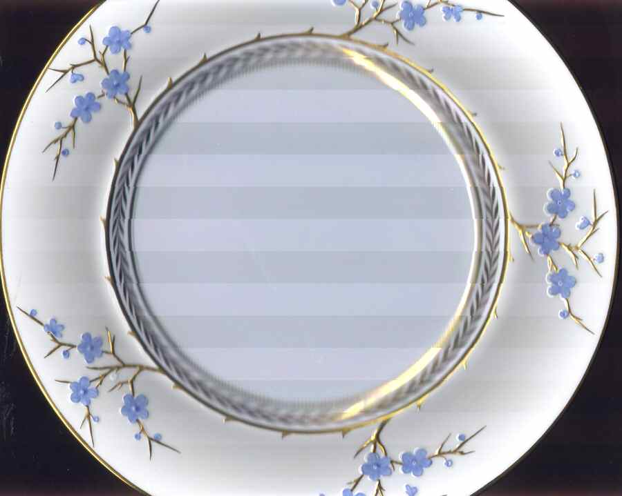 Y3468 Dinner Plate by Spode-1
