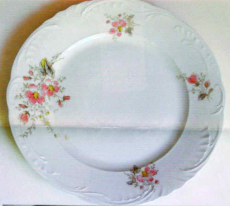 SP23 Dinner Plate by Springer & Co-1