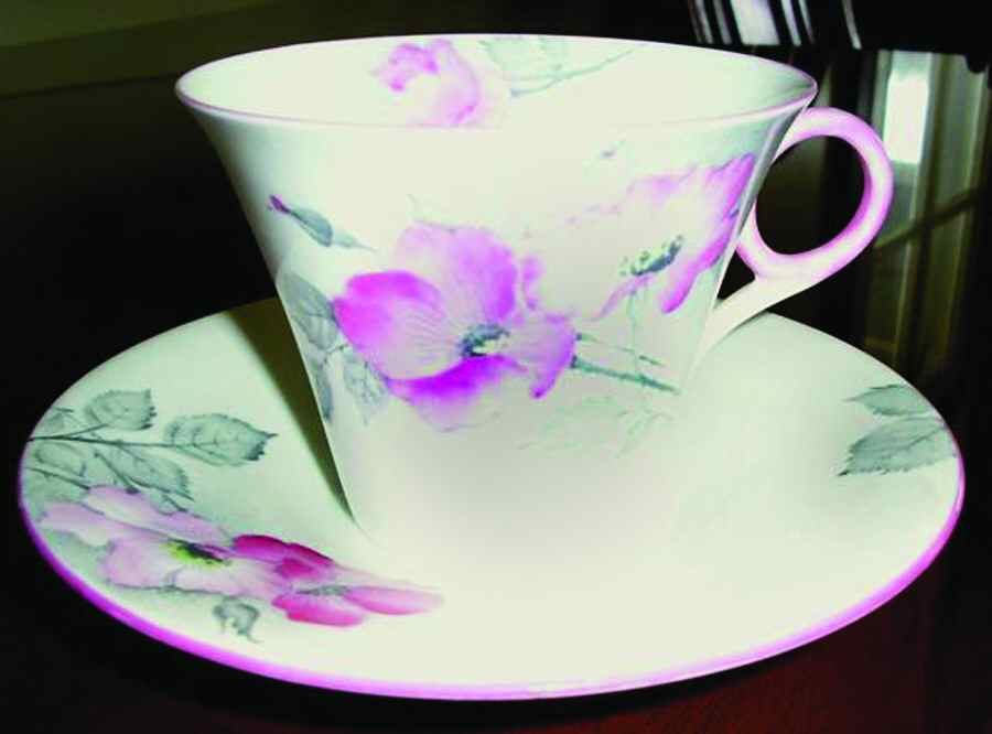 Dog Roses Pink Flat Cup & Saucer Set by Shelley-1