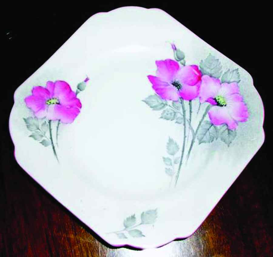 Dog Roses Pink Dessert/Pie Plate by Shelley-1