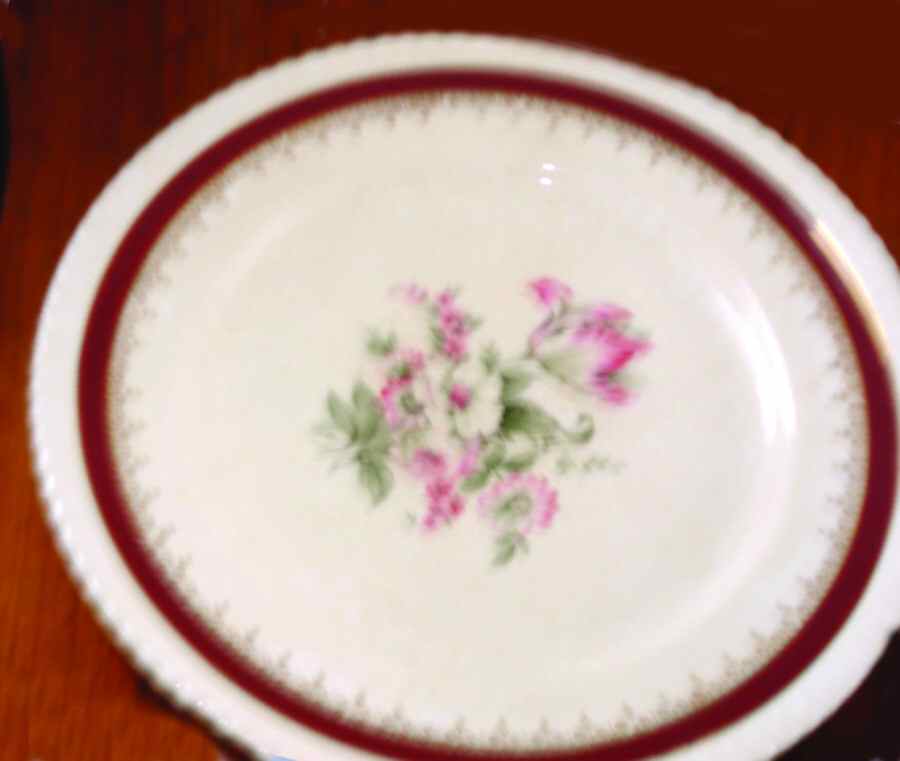 Monte Carlo Dinner Plate by Sovereign Potters-1