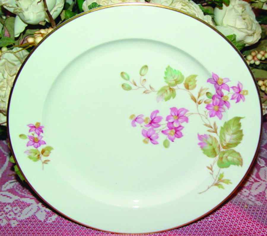 SCD91 Dinner Plate by Schonwald-1