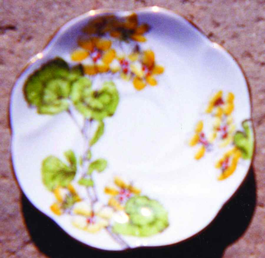 Geranium Saucer by Salisbury-1