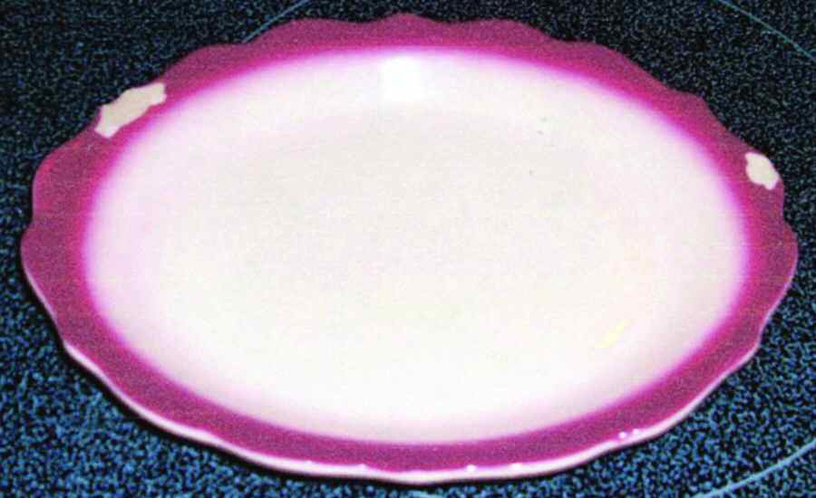 SY824 Bread & Butter Plate by Syracuse-1