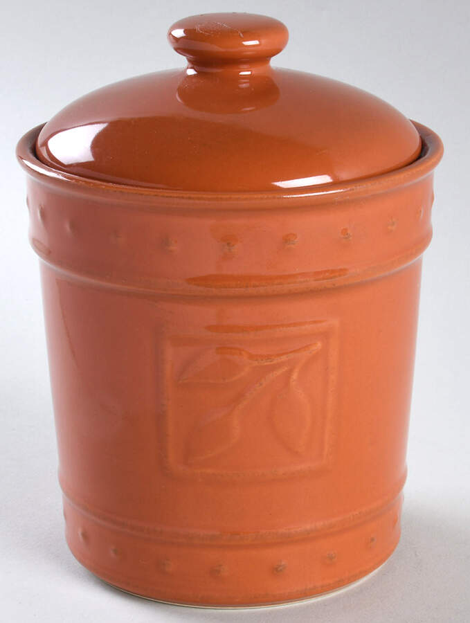 Sorrento Paprika (Orange) Medium Canister & Lid by Signature-1