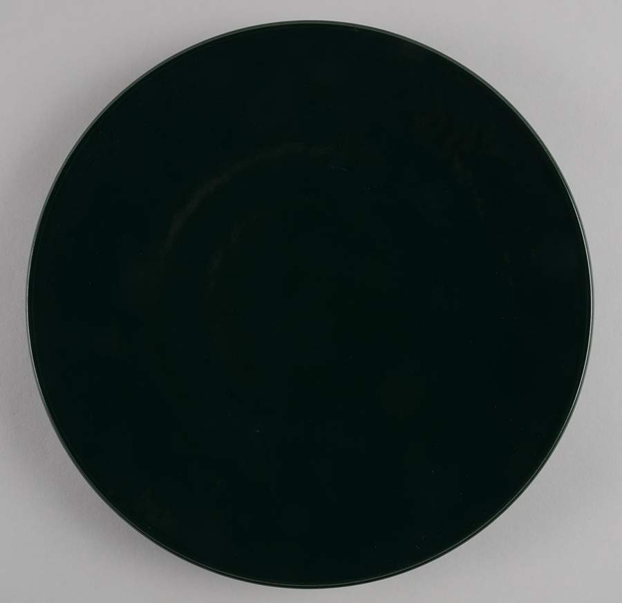 Colorstone Green (Textured) Dinner Plate by Sasaki-1