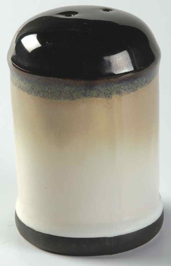 Eclipse Black Salt Shaker by Sango-1
