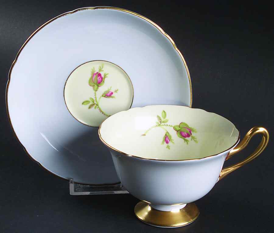 English Rose Footed Cup & Saucer Set by Shelley-1