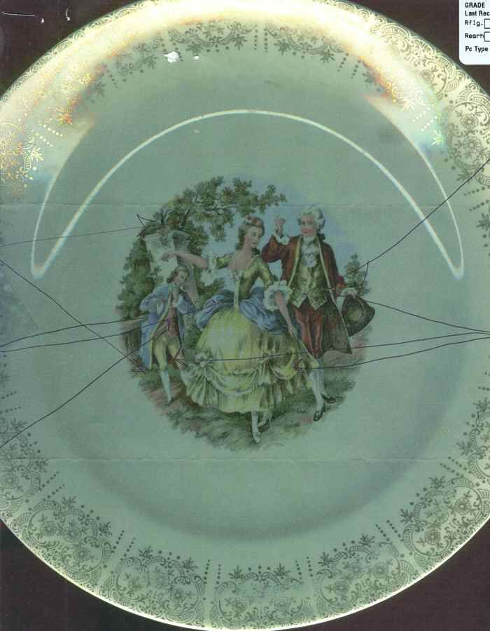 SLM313 Dinner Plate by Salem-1