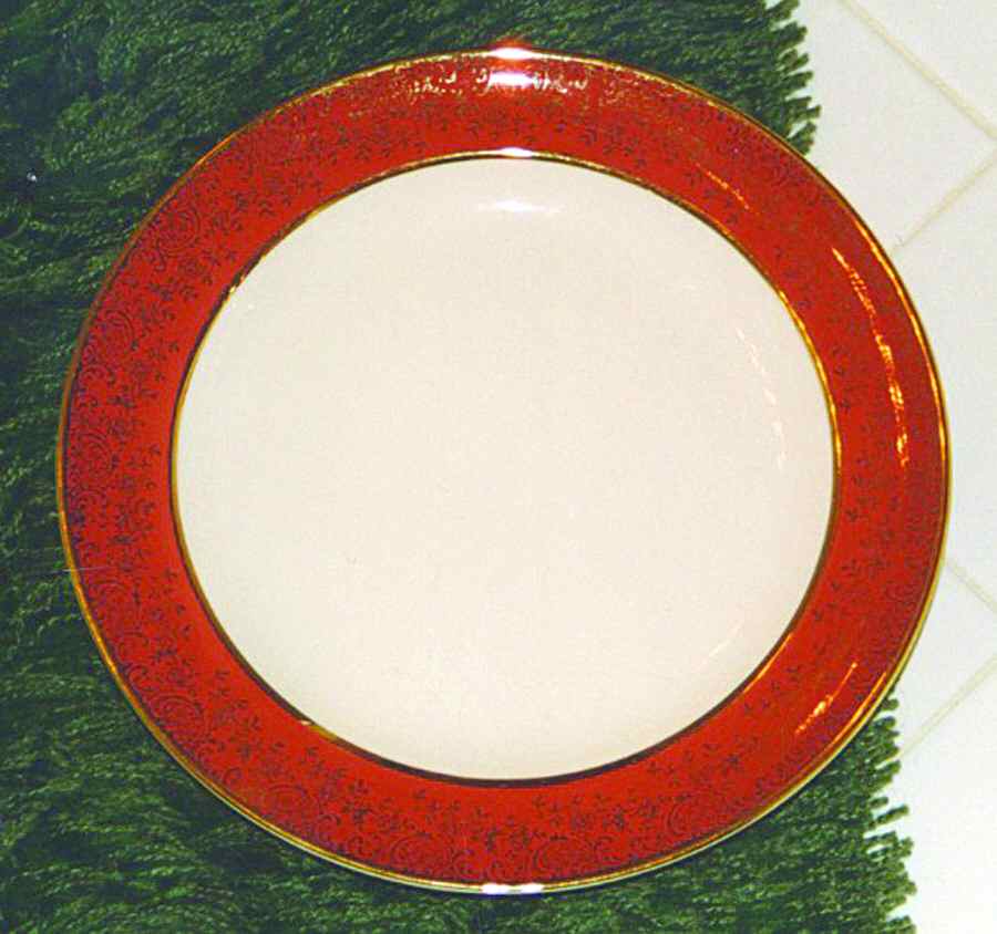 SLM314 Dinner Plate by Salem-1