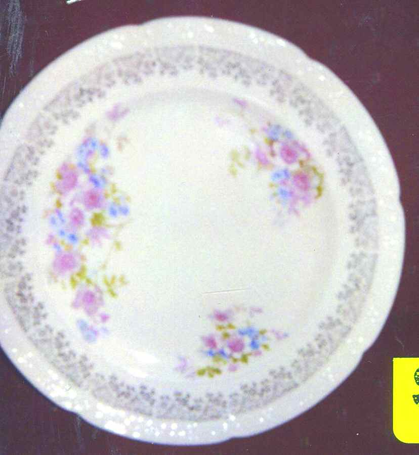 SLM317 Dinner Plate by Salem-1