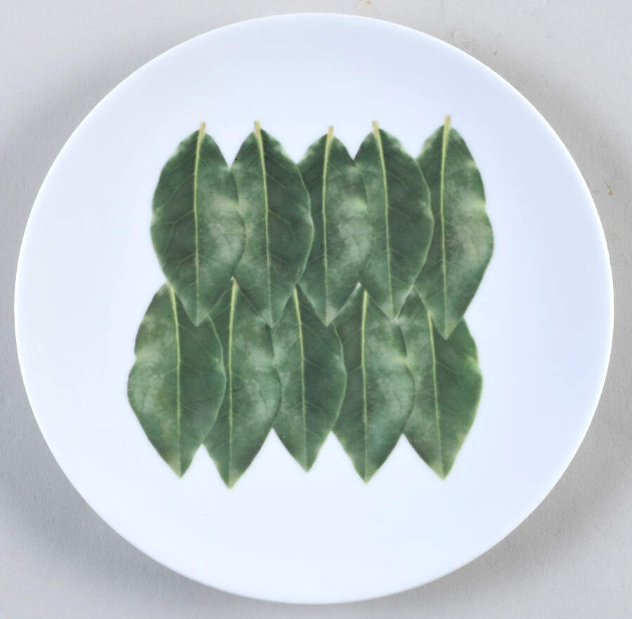 Herb Delight Salad Plate by Studio Nova-1