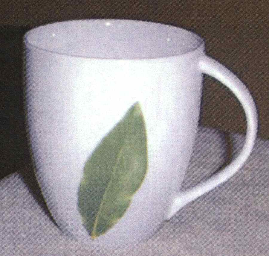Herb Delight Mug by Studio Nova-1