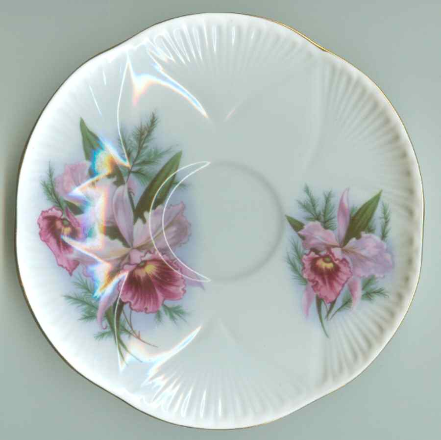 Orchid Saucer by Shelley-1