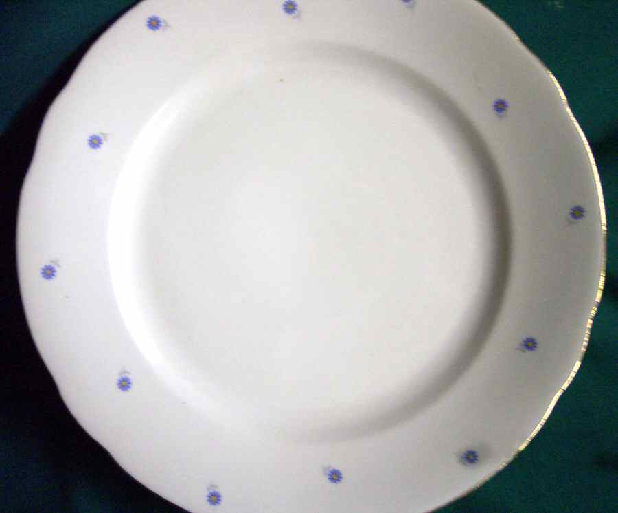 SLT351 Dinner Plate by Seltmann-1