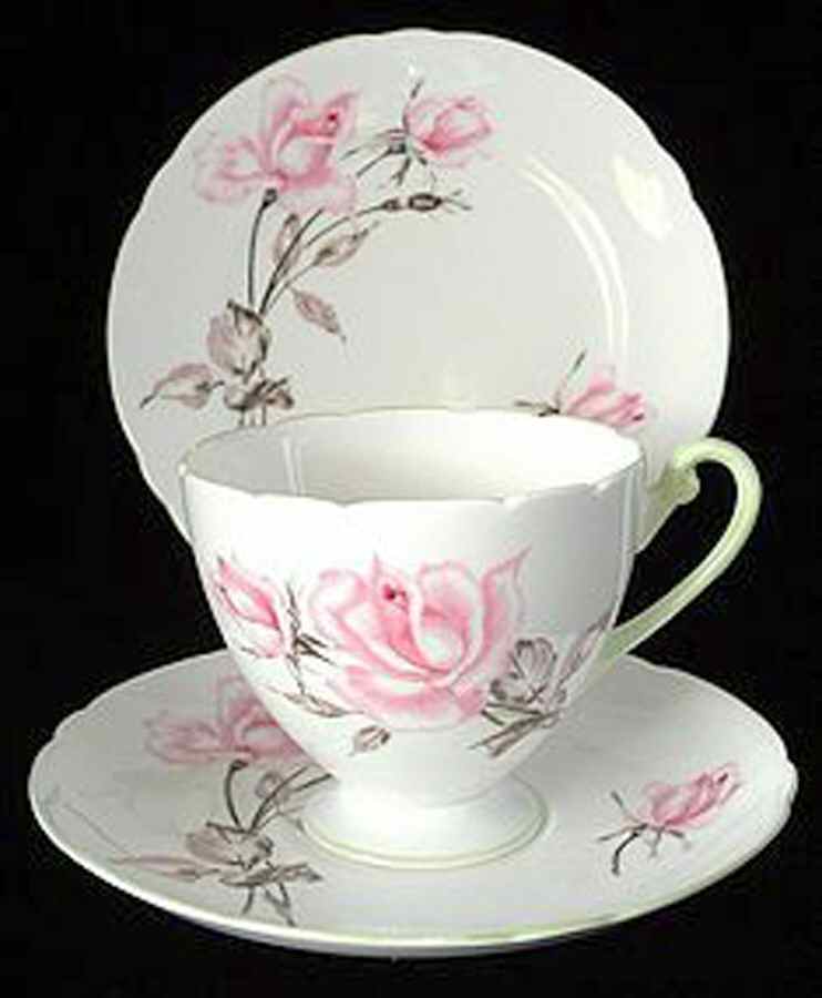 Rosalie Footed Cup & Saucer Set by Shelley-1
