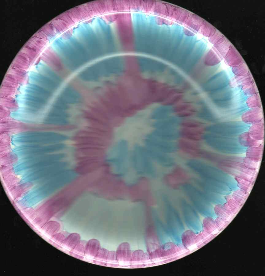SLU15 Salad Plate by Salute-1
