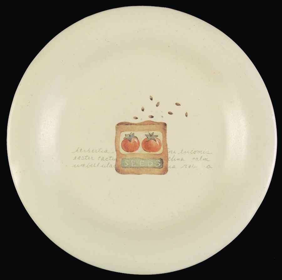 SOG9 Salad Plate by Sonoma Home-1