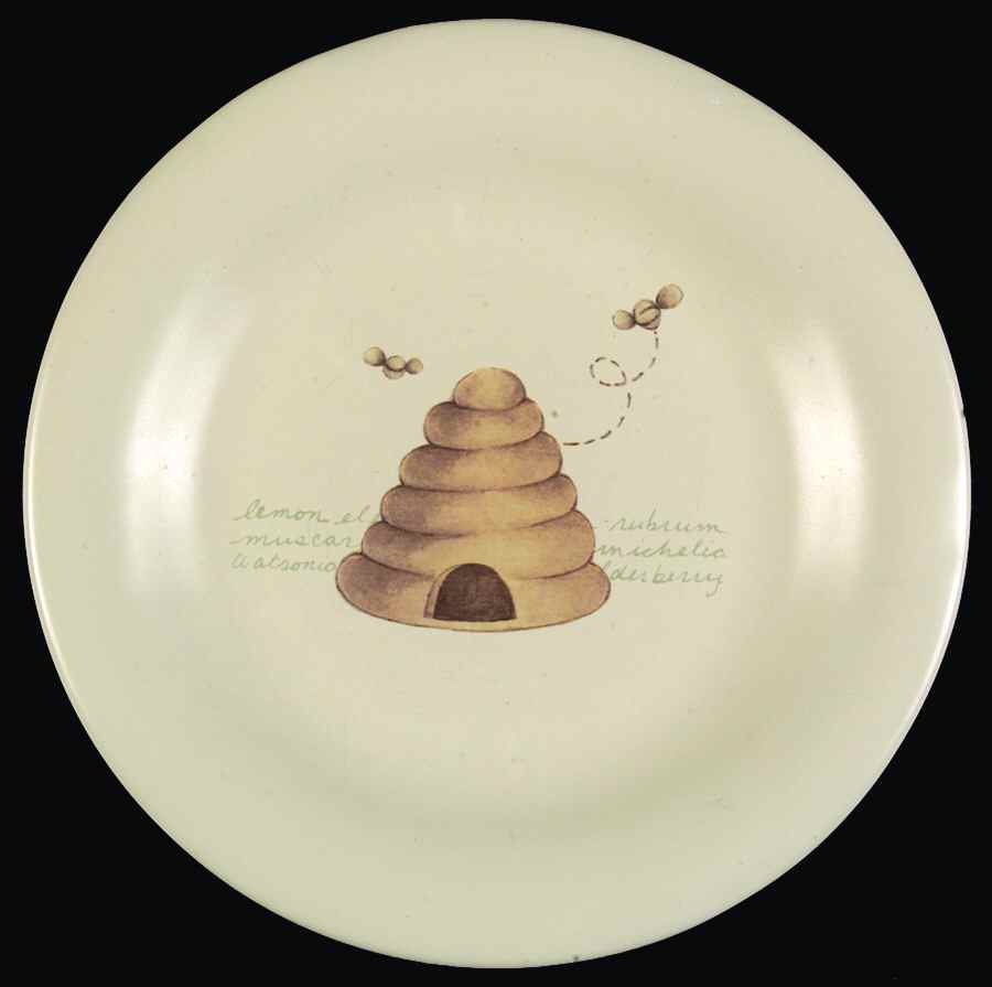 SOG9 Salad Plate by Sonoma Home-1