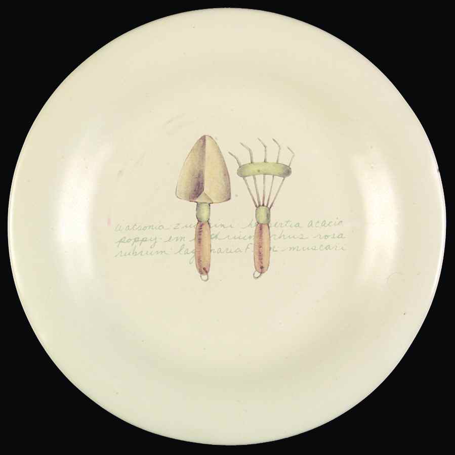 SOG9 Salad Plate by Sonoma Home-1