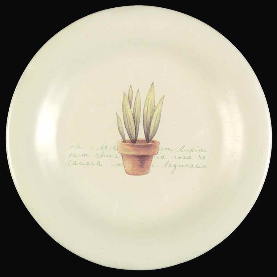 SOG9 Salad Plate by Sonoma Home-1
