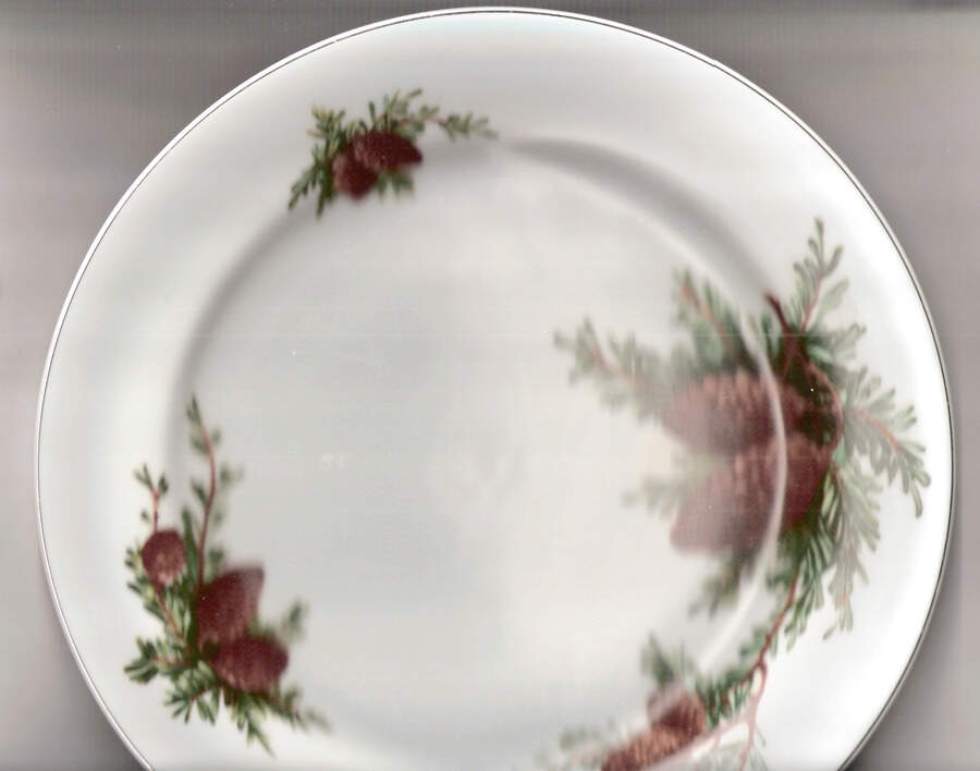 SKY7 Rim Dinner Plate by Sankyo (Japan)-1