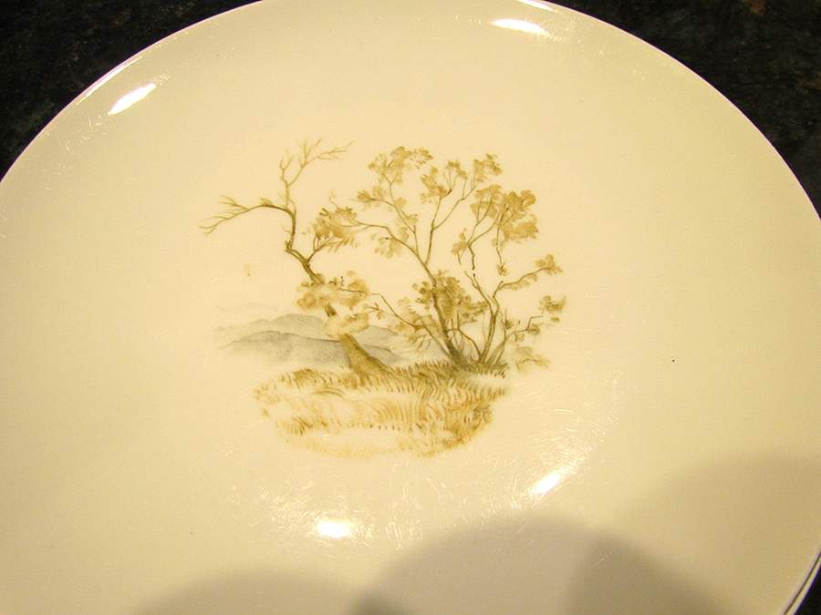 23500 Salad Plate by Seltmann-1