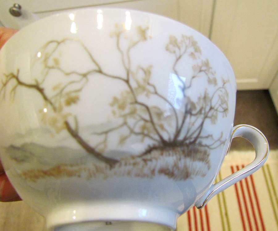 23500 Footed Cup by Seltmann-1
