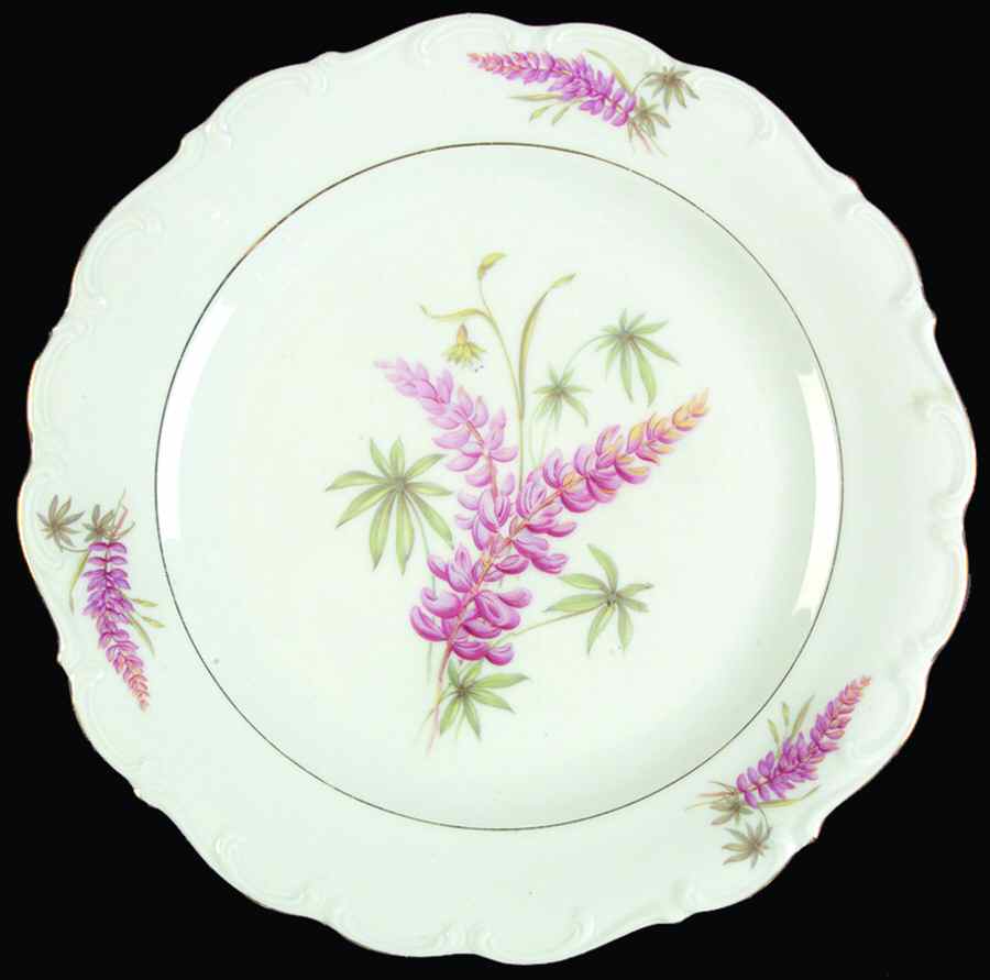SCH546 Dinner Plate by Schumann - Bavaria-1