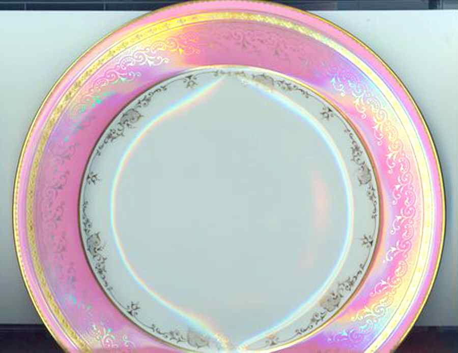 Z2976 Dinner Plate by Spode-1