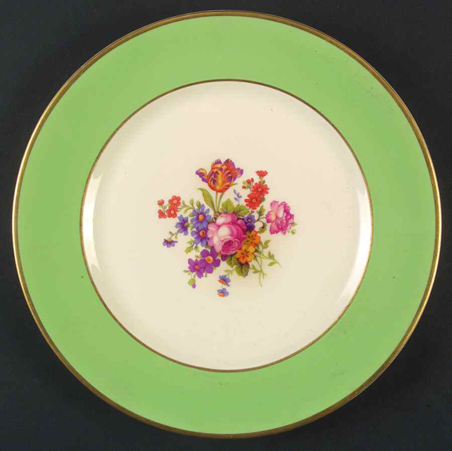 SY859 Dinner Plate by Syracuse-1