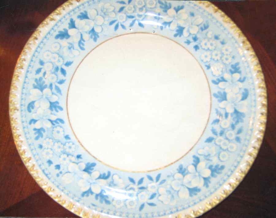 SP510 Dinner Plate by Spode-1
