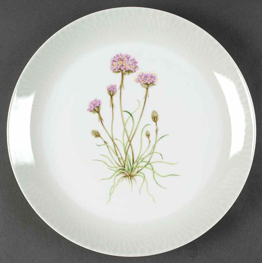 Shoreline Dinner Plate by Spode-1