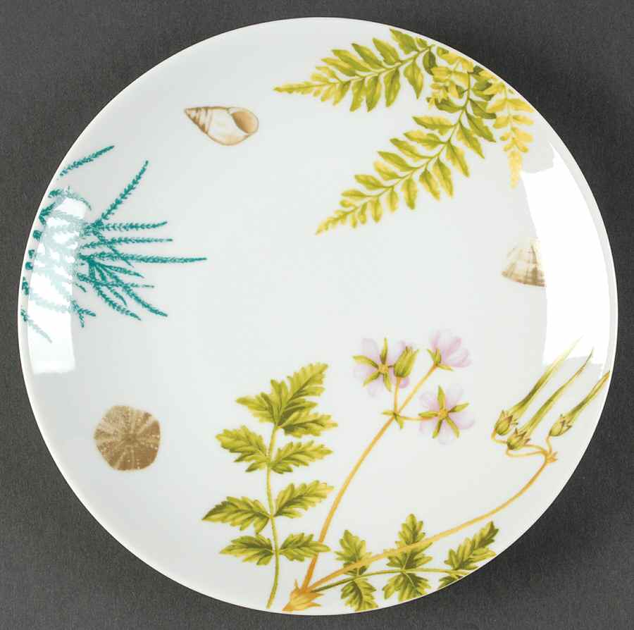 Shoreline Salad Plate by Spode-1