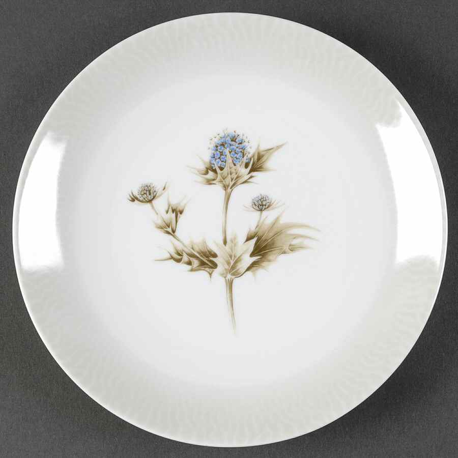 Shoreline Salad Plate by Spode-1