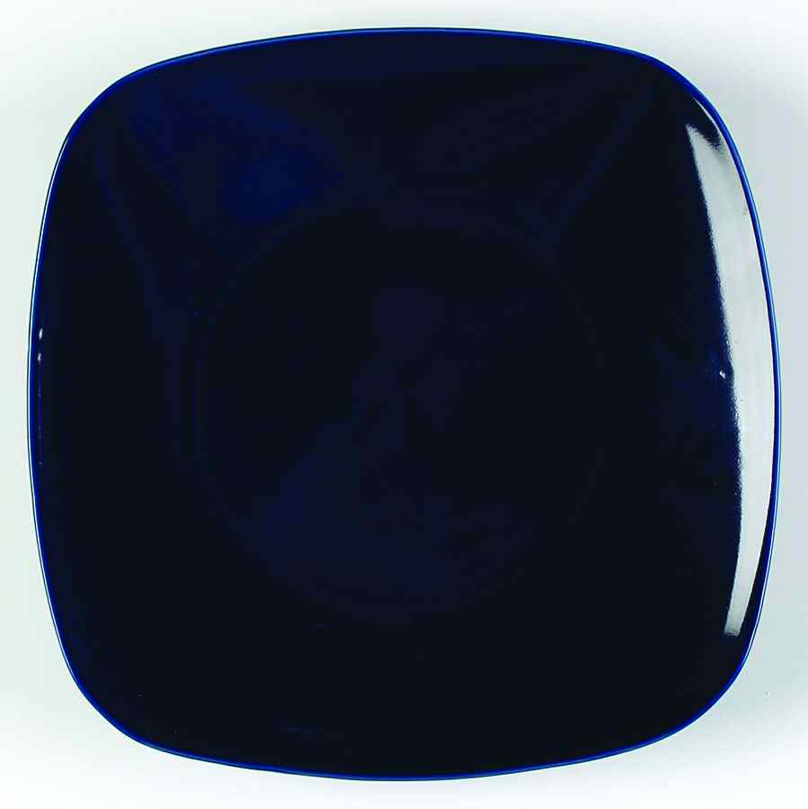 Blueberry Square Dinner Plate by sengWare-1