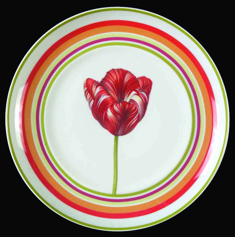 Maxima Salad Plate by Spal Porcelanas-1