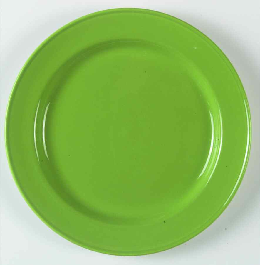 Carnival Fern (Light Green) Salad Plate by Steelite-1