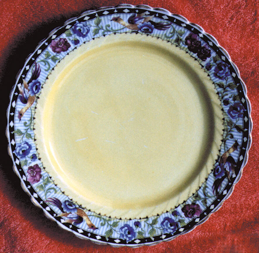 718 Dinner Plate by Swinnertons-1