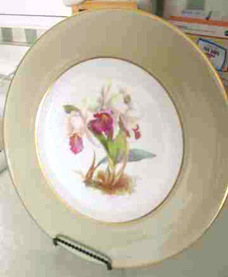 Y658h Salad Plate by Spode-1