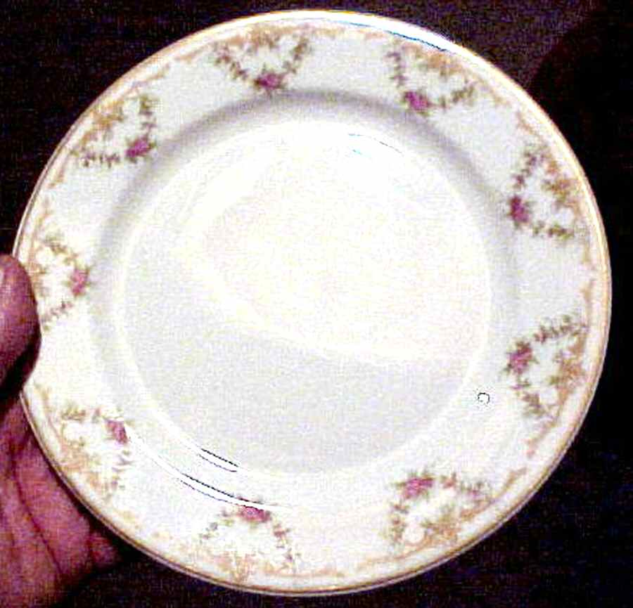 SY867 Salad Plate by Syracuse-1