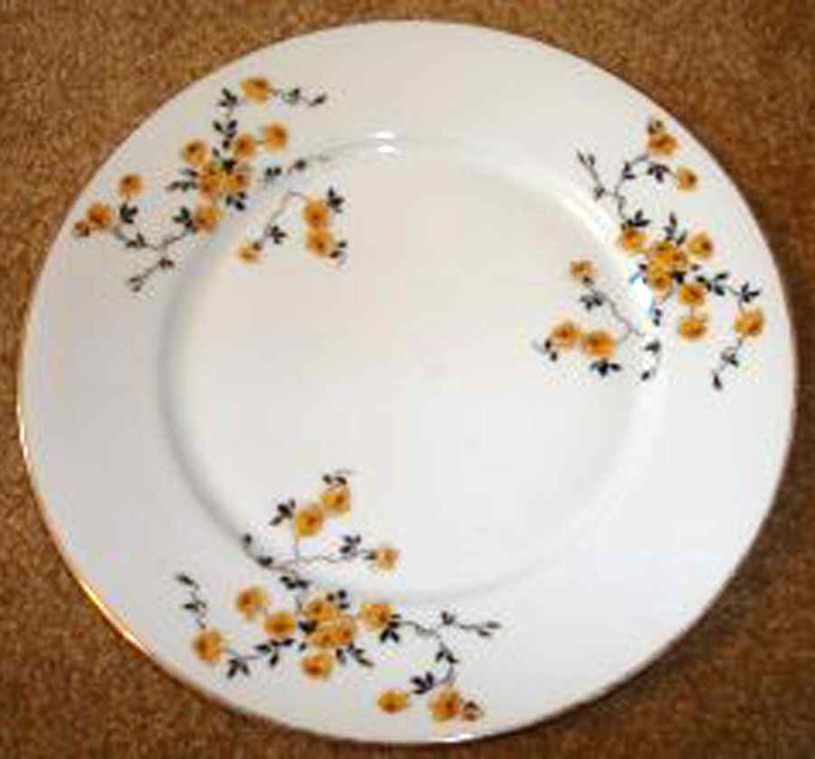 9989 Dinner Plate by Scherzer-1