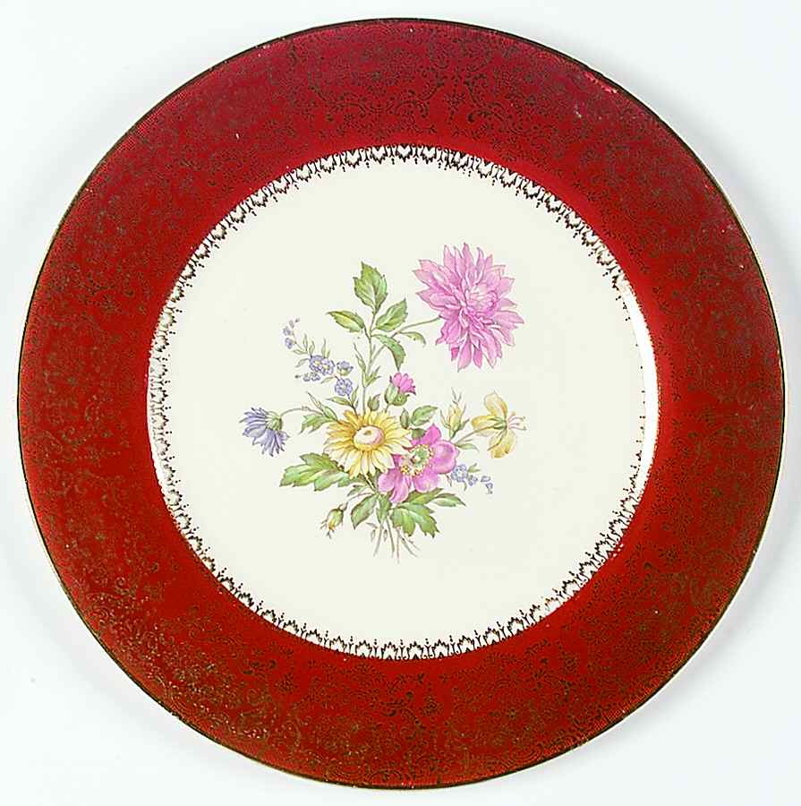 SLM331 Dinner Plate by Salem-1