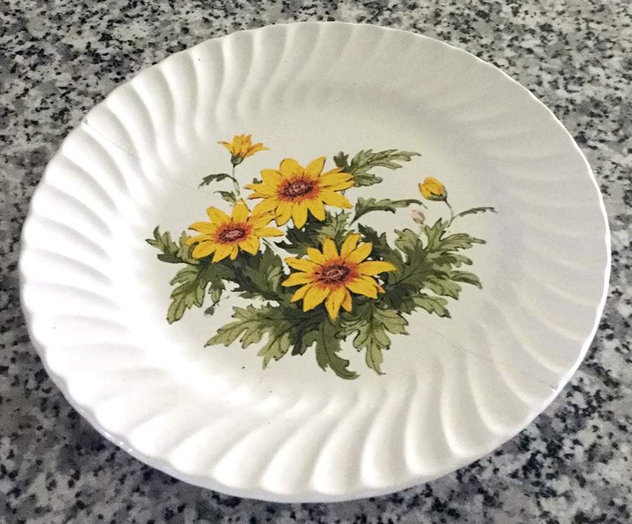 Daisy Dinner Plate by SCIO-1