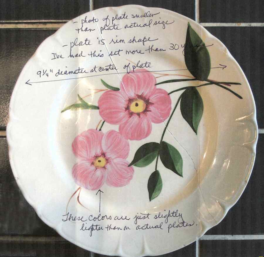 STT342 Dinner Plate by Stetson-1
