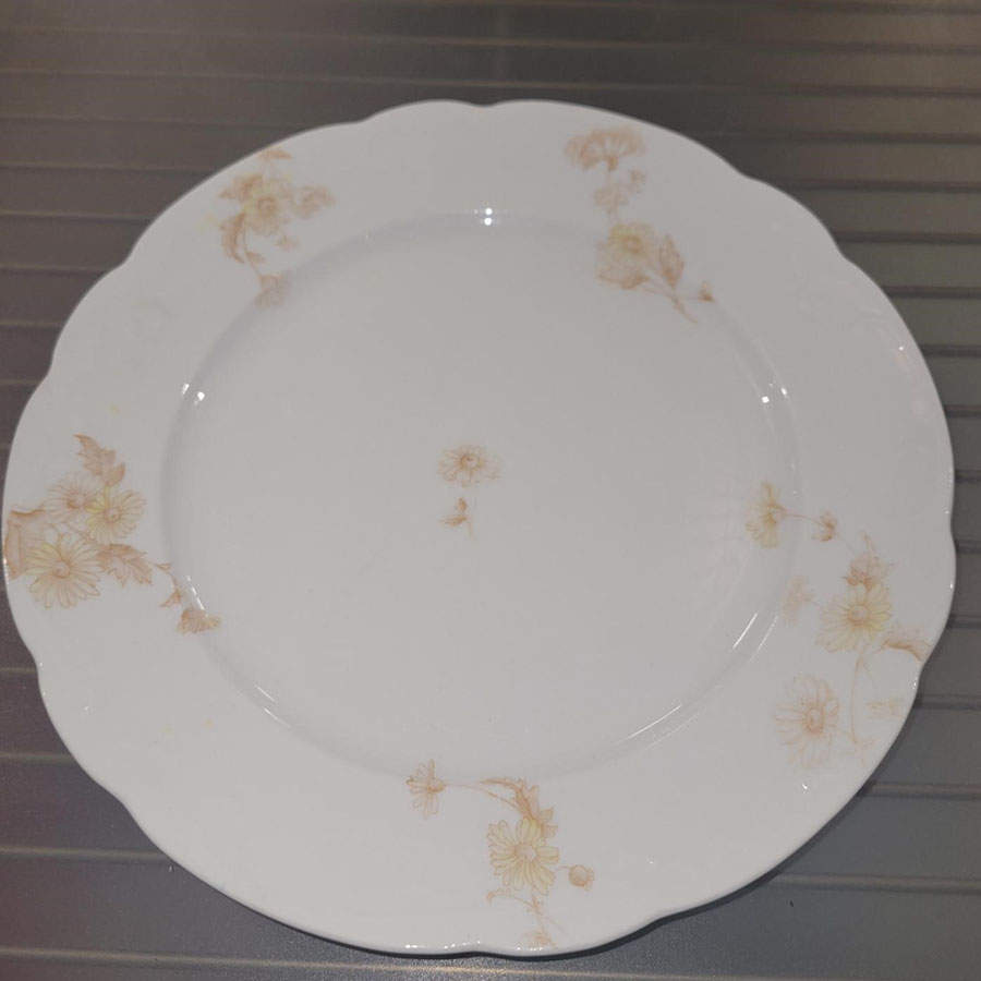 SY875 Luncheon Plate by Syracuse-1